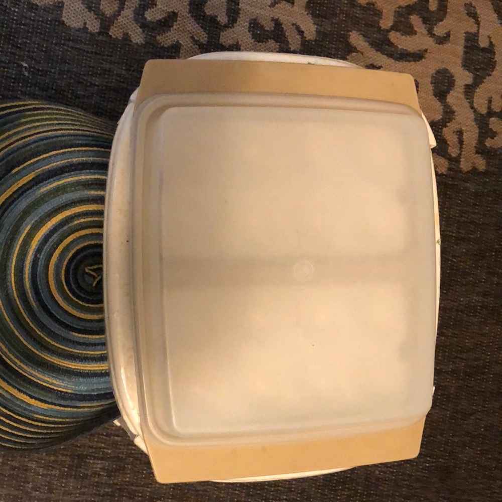 Vintage Tupperware Deviled Egg container.
